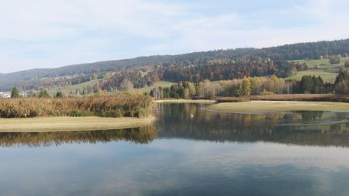 Scenic view of lake by trees against sky