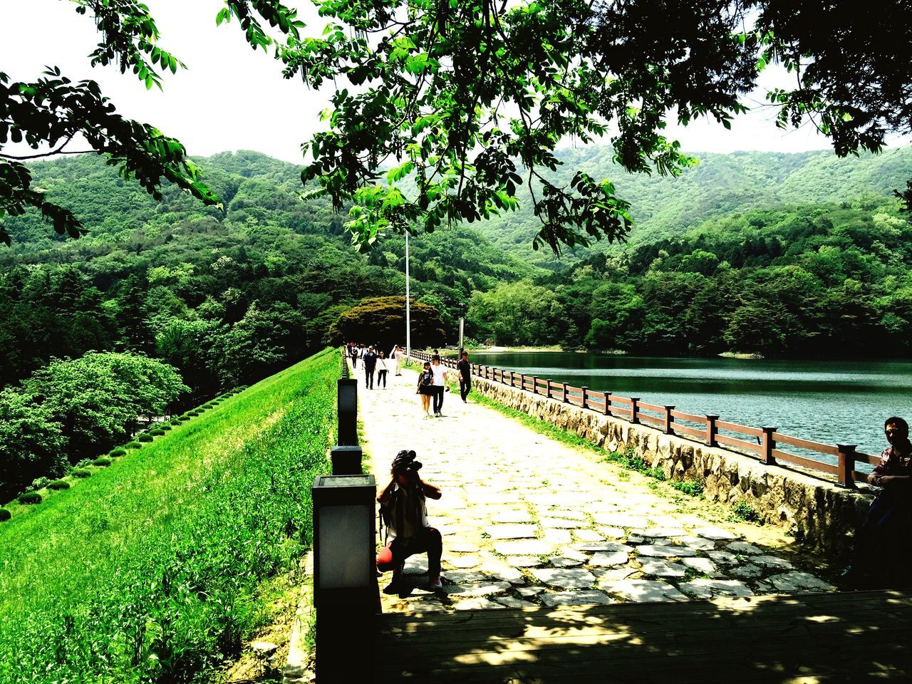 tree, lifestyles, men, leisure activity, person, rear view, togetherness, walking, water, bonding, nature, railing, growth, green color, park - man made space, sitting, bench, tranquility