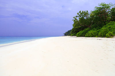 Scenic view of beach against sky