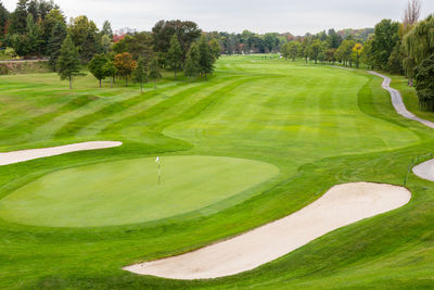 High angle selective focus view of golf course with birds and people in soft focus background 