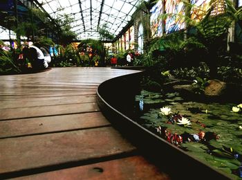 View of greenhouse