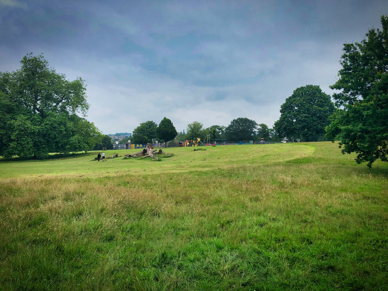 SCENIC VIEW OF GRASSY FIELD AGAINST SKY