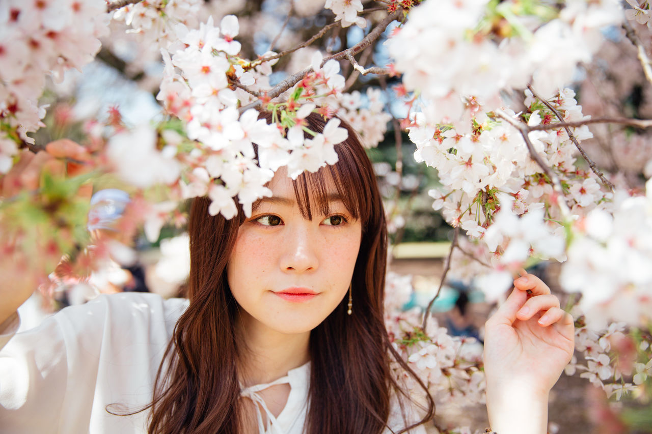 portrait, headshot, young adult, one person, young women, flower, flowering plant, real people, plant, long hair, lifestyles, fragility, looking at camera, hairstyle, beautiful woman, beauty in nature, front view, beauty, day, nature, hair, outdoors, springtime, flower head, cherry blossom