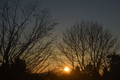 Low angle view of silhouette bare trees against sky during sunset