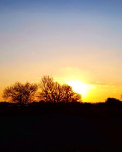 Silhouette trees on field against sky during sunset