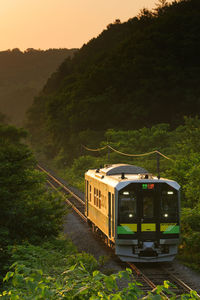 Train on railroad track