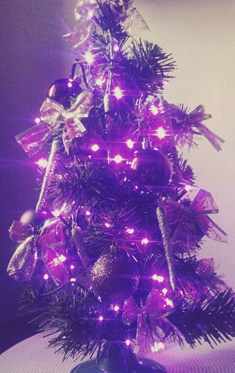 celebration, decoration, illuminated, low angle view, flower, indoors, close-up, night, no people, decor, celebration event, christmas, arts culture and entertainment, purple, lighting equipment, pink color, light - natural phenomenon, still life, firework display, growth