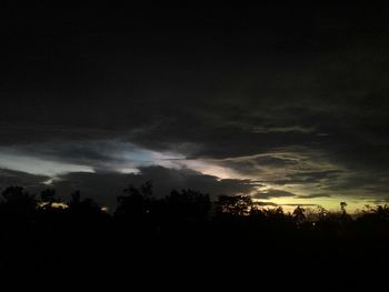 Silhouette of trees at sunset