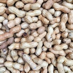 Full frame shot of nuts