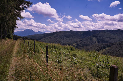 Scenic view of field against sky