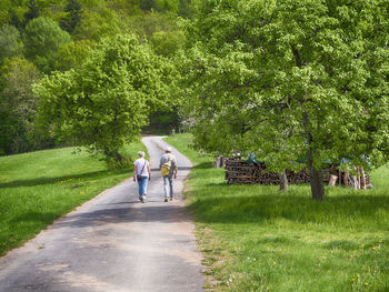 Rear view of women walking on road amidst trees