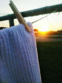 Close-up of insect on the ground