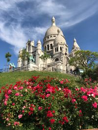 Flowering plants in front of church against sky