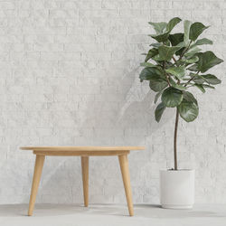 Potted plant on table against wall