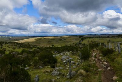 Scenic view of field against sky