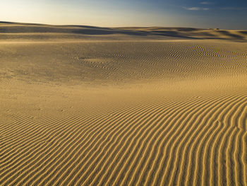 Rippled sand in desert landscape