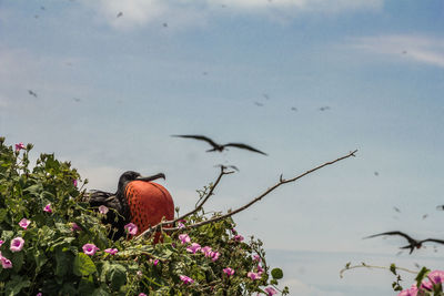 Close-up of bird perching on flower against sky