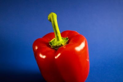 Close-up of red bell pepper against blue background