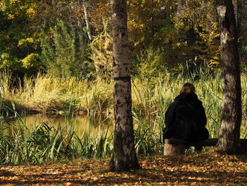 Rear view of man sitting by tree trunk in forest