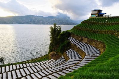 Scenic view of shallot cultivation at the outskirts of the lake