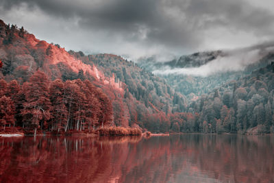 Scenic view of lake by trees against sky