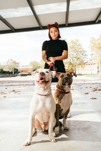 Young hipster ethnic female holding big purebred american pit bull terrier dogs on leashes and looking at camera