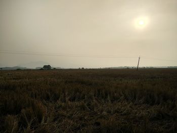 Scenic view of field against sky during sunset