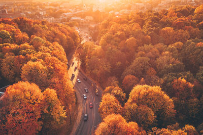 Aerial view of road amidst autumn trees during sunset