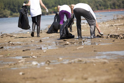 Low section of people cleaning on shore at beach