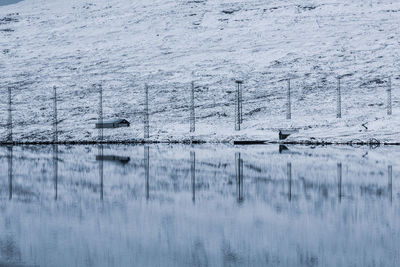 Frozen lake during winter