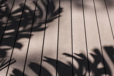 Detail shot of wooden floor