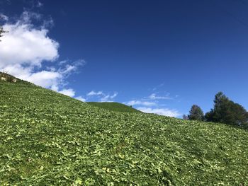 Scenic view of land against sky