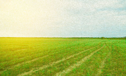 Scenic view of agricultural field against sky