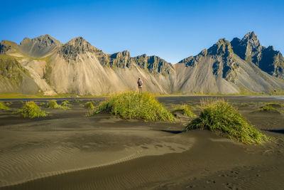 Plants growing in desert against sky