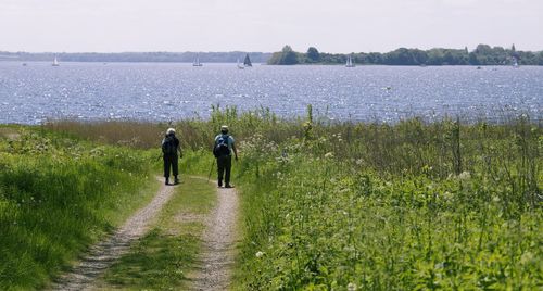 Rear view of tourists walking on footpath