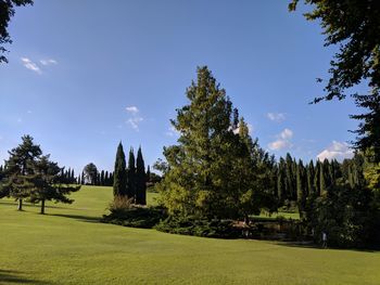 Trees on field against sky