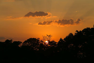 Low angle view of silhouette trees against orange sky