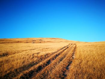 Scenic view of field against clear blue sky