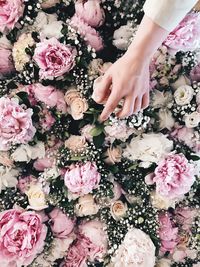 Low section of person holding rose bouquet