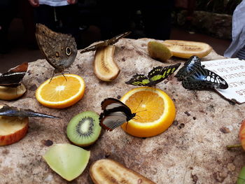 Close-up of orange fruits on cutting board