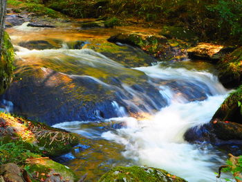 Stream flowing through rocks in forest