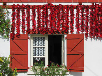 Red wooden door of building