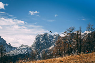 Birds flying over mountain against sky