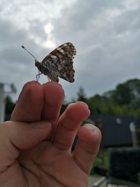 Close-up of hand holding leaf against sky