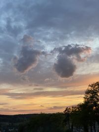 Low angle view of silhouette trees against sky during sunset