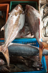 Close-up of fish for sale in market