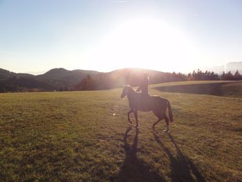 Person riding horse at landscape against sky on sunny day