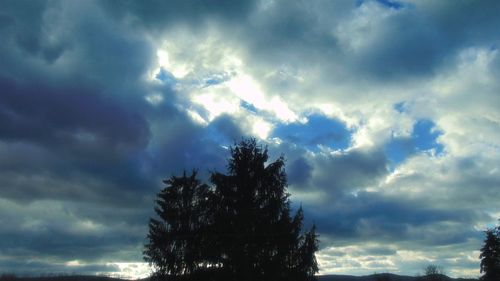 Low angle view of trees against cloudy sky