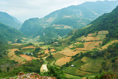 Aerial view of agricultural landscape