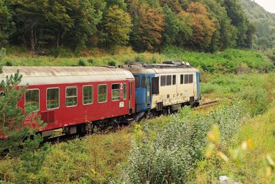 Train against trees